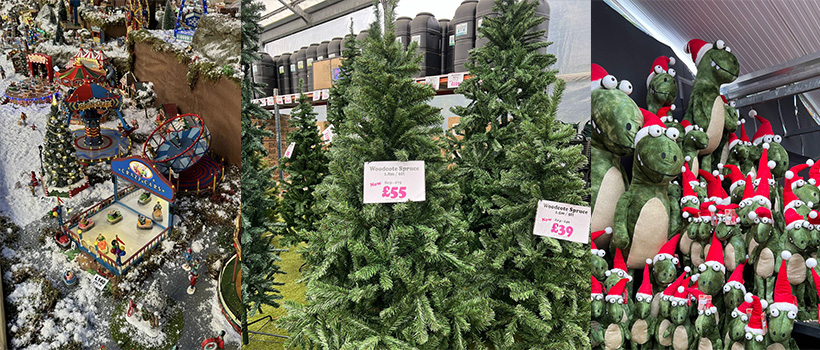 christmas range 2024 sapcote garden centre